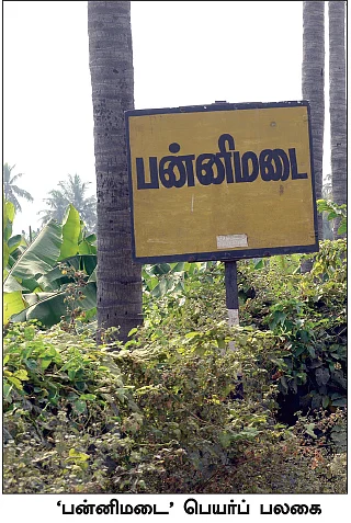 “பன்றிக்கும் எங்களுக்கும் எந்தச் சம்பந்தமும் இல்லை!”