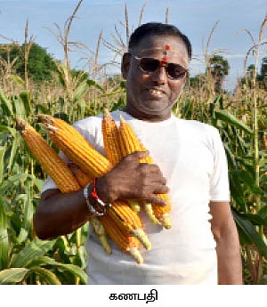 பாறையிலும் பயிர் வளரும்... நிரூபித்துக் காட்டிய விவசாயி...