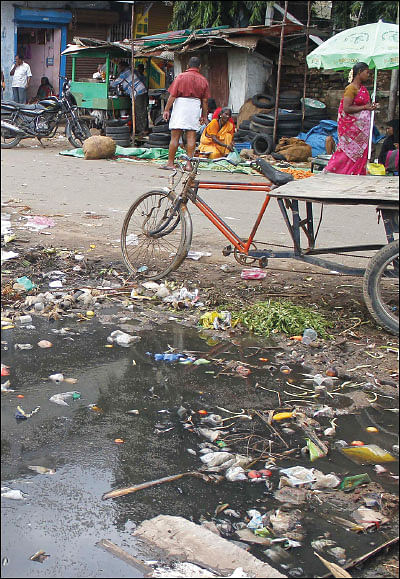 டெங்குவை ஒழிக்கலாம்!