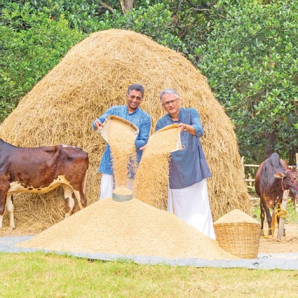 14 ஏக்கர் நெல் சாகுபடி... ஆண்டுக்கு 6,60,000 ரூபாய் லாபம்!