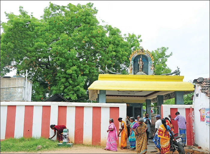 திருவருள் செல்வர்கள்! - 9
