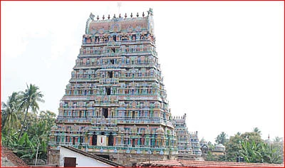 'எங்க வயலுக்கும் வரணும் சாமி!'