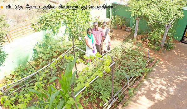 வீட்டுக்குள் விவசாயம் - 15