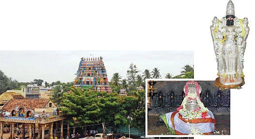 தேவாரத் திருவுலா!