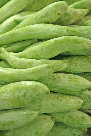 இயற்கை டாக்டர்