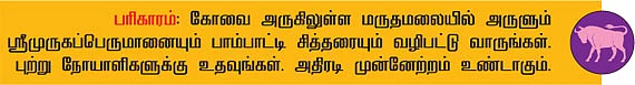 ரிஷபம்