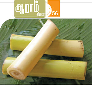 ஆறாம் திணை - 56