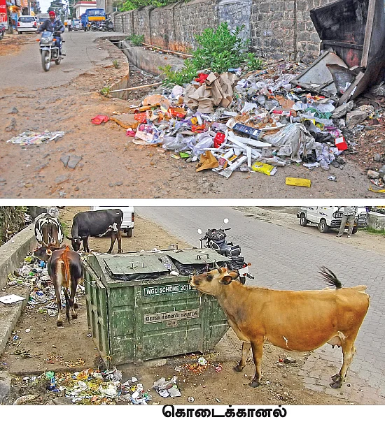 கொடைக்கானல் போறீங்களா? - குப்பைத் தொட்டியாக வரவேற்கும் மலைகளின் இளவரசி!