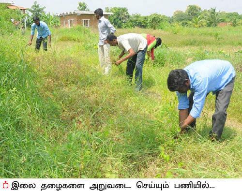 மேட்டுப்பாத்தி... குறைந்த பரப்பில் அதிக மகசூல்! - ஒருநாள் விவசாயி பருவம் - 2