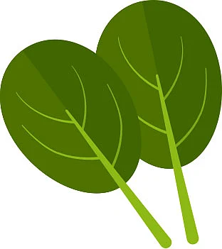 சன்ஸ்கிரீன் உணவுகள்!