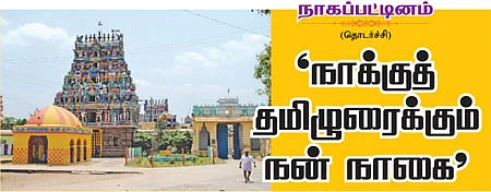 தேவாரத் திருவுலா!