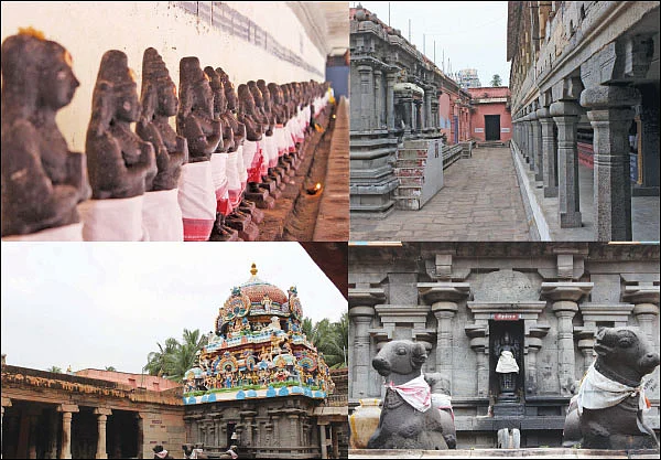 தோஷங்கள் தீர்க்கும் நவகிரகக் குழிகள்!