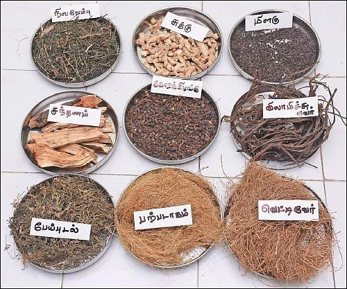 டெங்கு மட்டுமல்ல... 64 வகை காய்ச்சல்களுக்கும் நிலவேம்புக் குடிநீர்!