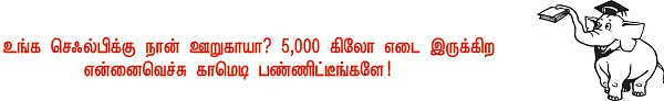 செல்ஃபி பாரதி!