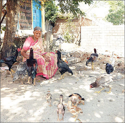 அவள் கிளாஸிக்ஸ்: ``இது பசு இல்ல... எங்களை வாழவைக்கும் மூத்த குடி!''