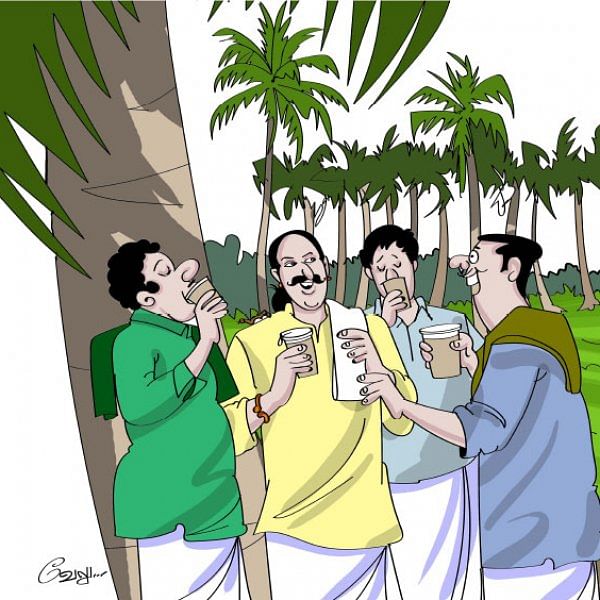 மண்புழு மன்னாரு: நீரா... மரத்துக்கு மாதம் ரூ. 1,500 தரும் அமுதசுரபி!