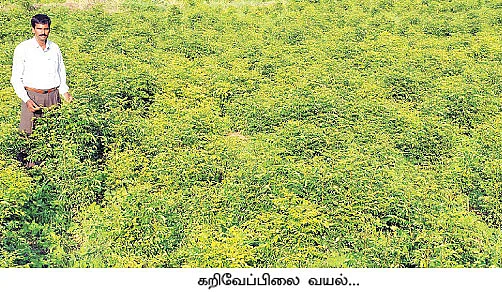 ஒரு ஏக்கர்... 1,00,000