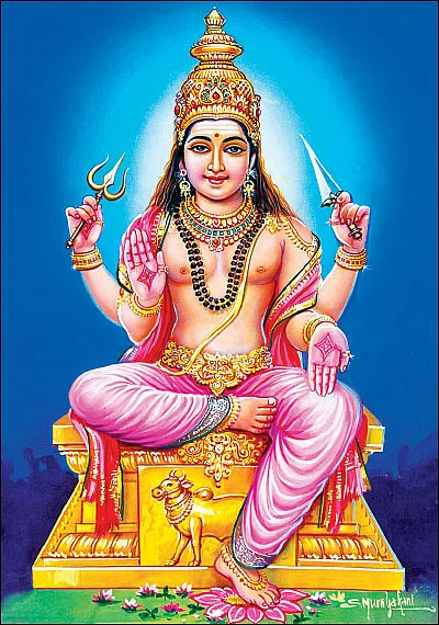 அளவில்லா நன்மைகள் அருளும் ஆதிரை!