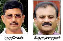 மரப் பயிர்களிலும் பூச்சிகள்... விரட்டியடிக்கும் மருந்துகள்...