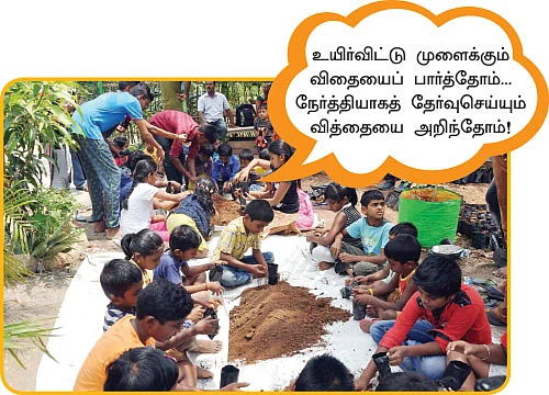 கோடையைக் கொண்டாடினோம்! - ‘நாற்றங்கால்’ திருவிழா