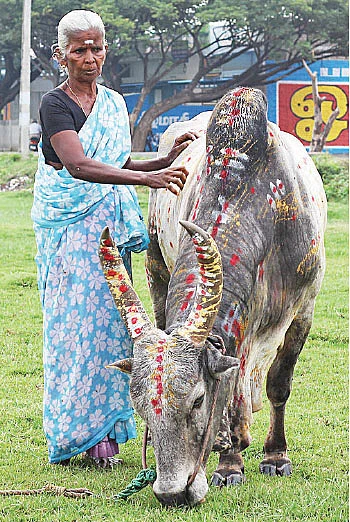 அடங்காதவன்... அசராதவன்!