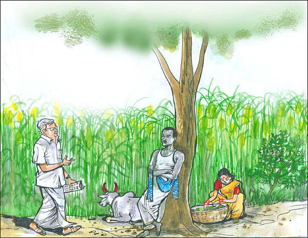 மரத்தடி மாநாடு: ஆடு மாடுகளுக்கும் ஆதார்... தொடங்கியது கணக்கெடுப்பு!