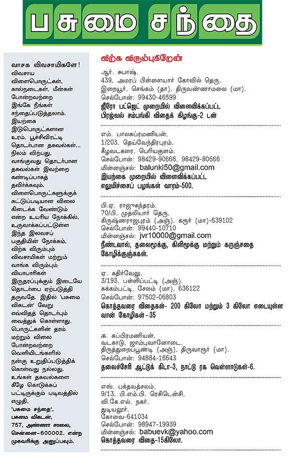 பசுமை சந்தை