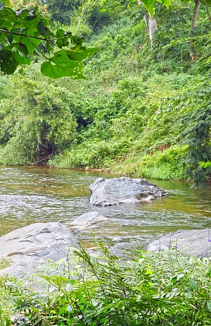 சிறுவாணி குறுக்கே அணை... அச்சத்தில் விவசாயிகள்!
