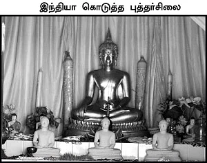 புலித்தடம் தேடி...