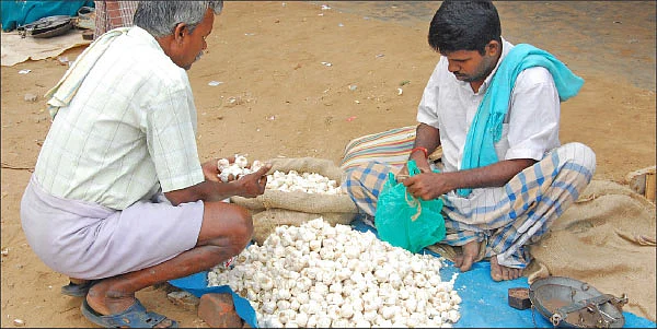 சந்தைக்கேற்ற சாகுபடி!