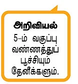 வண்ணமயமான செயல்திட்டம் !