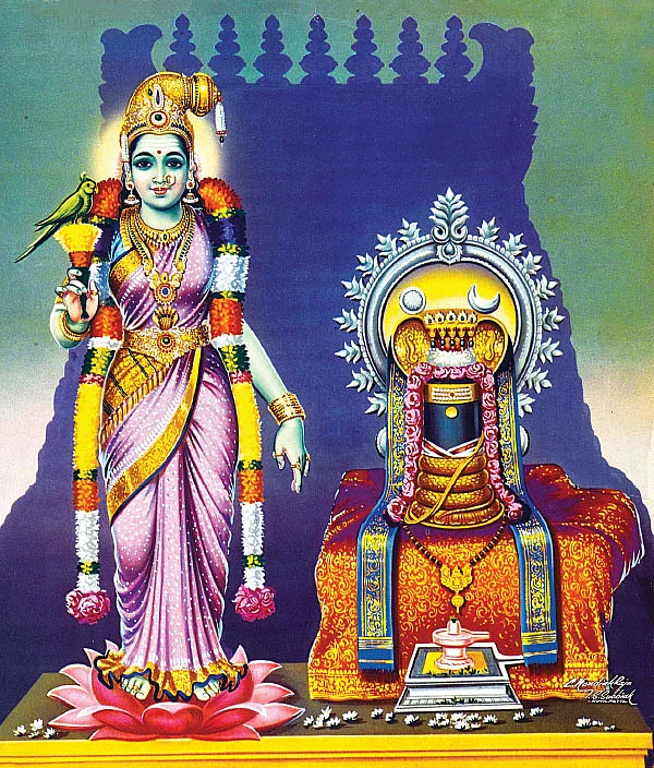 திருவருள் செல்வர்கள்! - 8