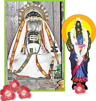நாகநாதருக்கு நாகலிங்கப் பூ!