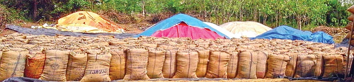 மழையில் நனையும் நெல் மூட்டைகள்... வேடிக்கை பார்க்கும் டெல்டா அமைச்சர்கள்!