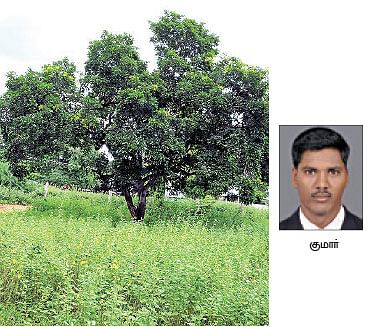நீங்கள் கேட்டவை : 'கோழித் தீவனம் தயாரிப்பது எப்படி?' 