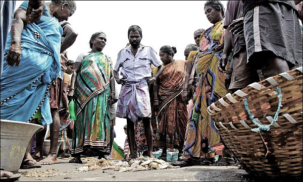 உப்புக்கண்டம் நெய்ச்சோறு - பாக்கியம் சங்கர்