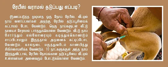 உயிரைப் பறிக்கும் “ரேபீஸ்” பயங்கரம்!