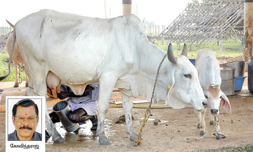 நீங்கள் கேட்டவை