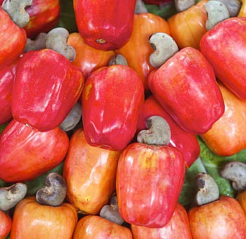 பலம் தரும் பழங்கள்!