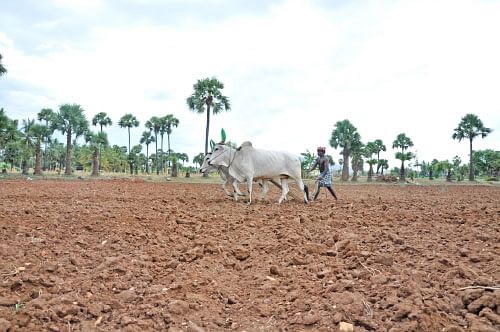 மண்ணுக்கு மரியாதை! - 17