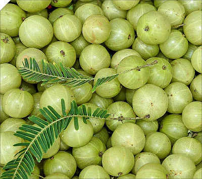 நாட்டு மருந்துக் கடை - 18
