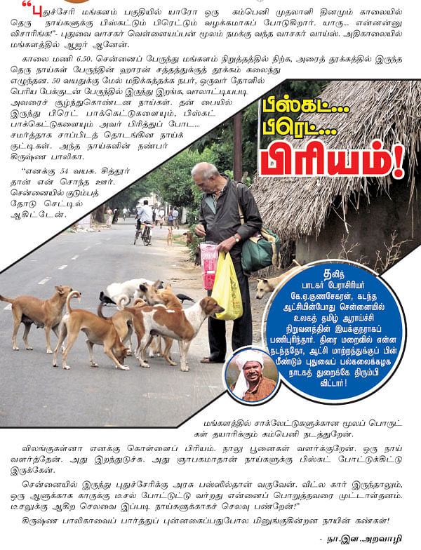 பிஸ்கட்... பிரெட்... பிரியம்!