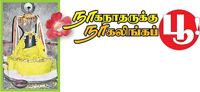 நாகநாதருக்கு நாகலிங்கப் பூ!