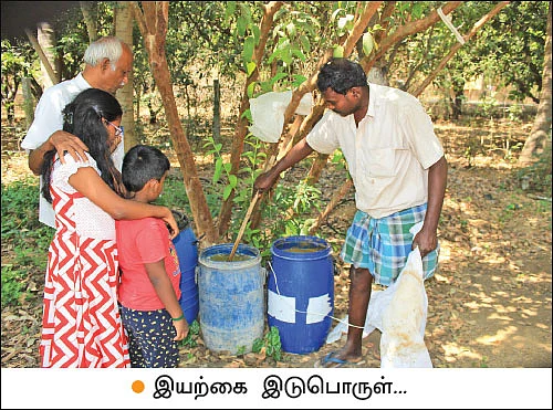 மா... தென்னை... எலுமிச்சை... காய்கறிகள்... ஆண்டுக்கு ரூ. 3,33,000 வருமானம்!
