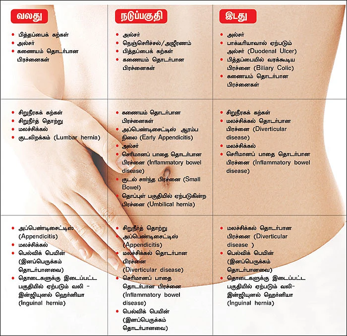 வயிற்று வரைபடம்!
