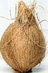தேங்காய் மற்றும் தேங்காய் பொருட்கள்!