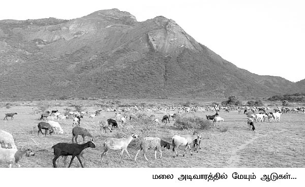 ஏக்கருக்கு... ரூ.4,50,000