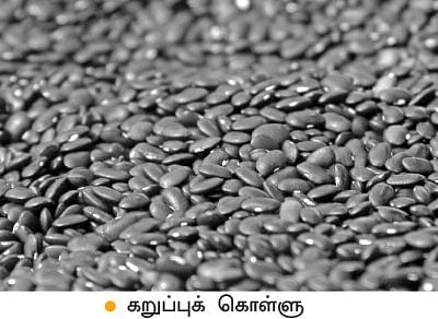 மானாவாரியிலும் மகத்தான மகசூல்! கறுப்புக் கொள்ளு!