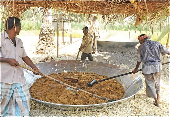 கலக்கும் கவுந்தப்பாடி நாட்டுச் சர்க்கரை!