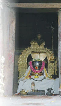 சர்ப்ப தோஷம் நீக்கும் தென் காளஹஸ்தி!